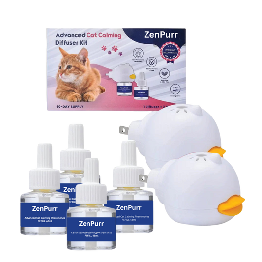 ZenPurr